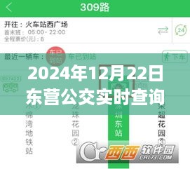 东营公交实时查询软件，智能选择，便捷出行新体验