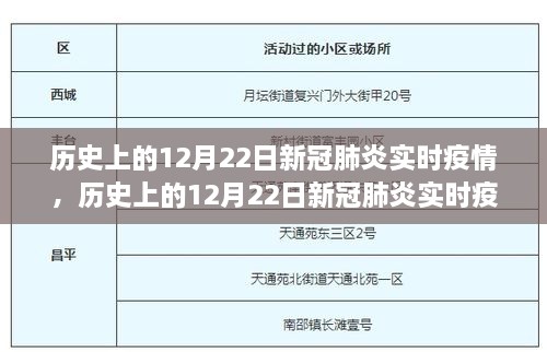 历史上的12月22日新冠肺炎实时疫情深度解析，产品特性与用户体验评测