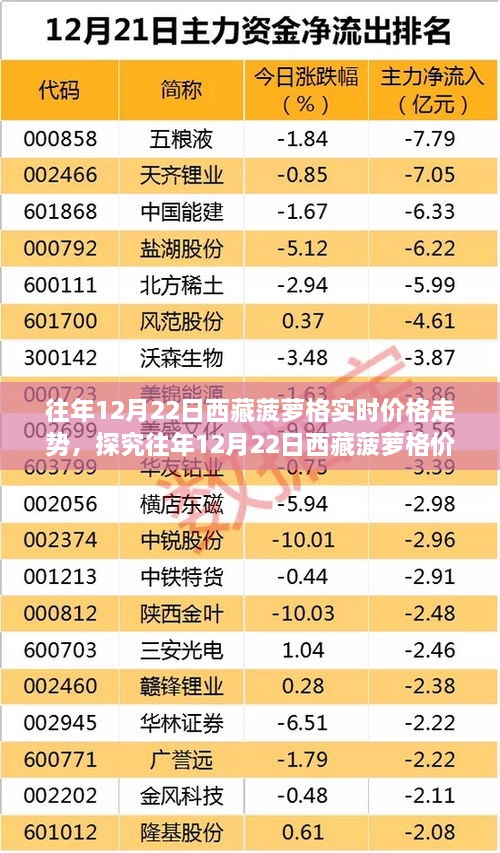 往年12月22日西藏菠萝格价格走势深度解析与未来展望