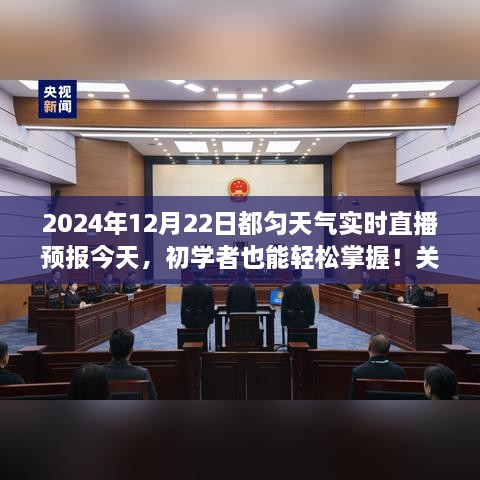 2024年12月22日都匀天气预报直播，初学者友好型全面指南