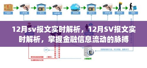 掌握金融信息流动的脉搏，12月SV报文实时解析详解