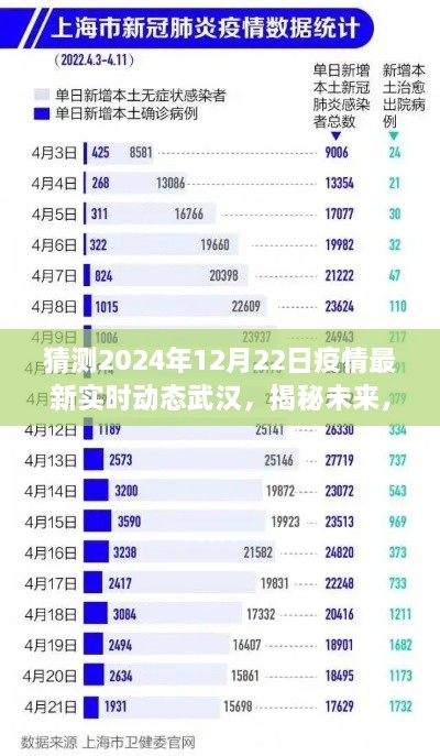 揭秘未来，武汉疫情在冬至的最新动态预测（2024年）