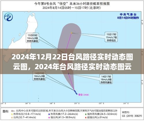 掌握风云变幻，2024年台风路径实时动态图云解析与预测