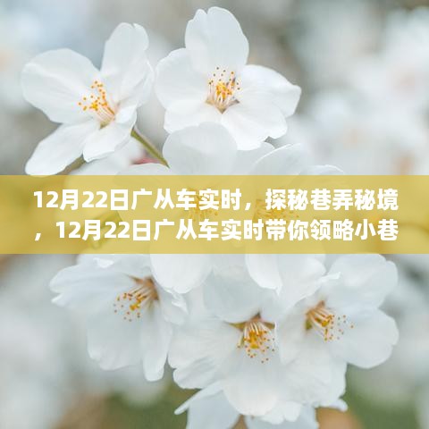 探秘巷弄秘境，广从车实时带你领略小巷独特风味在12月22日