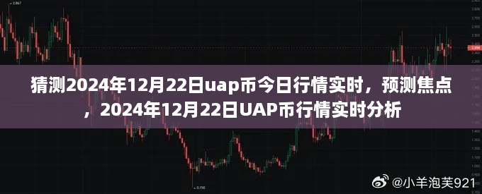 独家预测，聚焦UAP币行情分析，揭秘未来走势——2024年12月22日实时行情解析