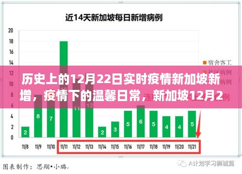 新加坡12月22日疫情下的特殊记忆与温馨日常新增数据报告