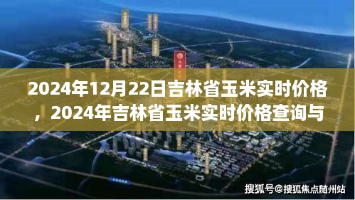 2024年吉林省玉米实时价格详解，查询与理解指南