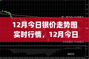 12月银价走势实时分析，行情洞察与投资战略