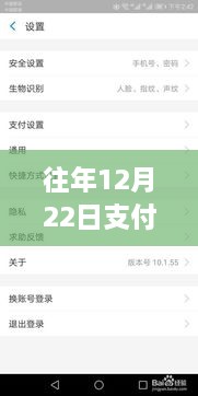 支付宝实时收款设置攻略，初学者与进阶用户的必备指南（12月22日版）