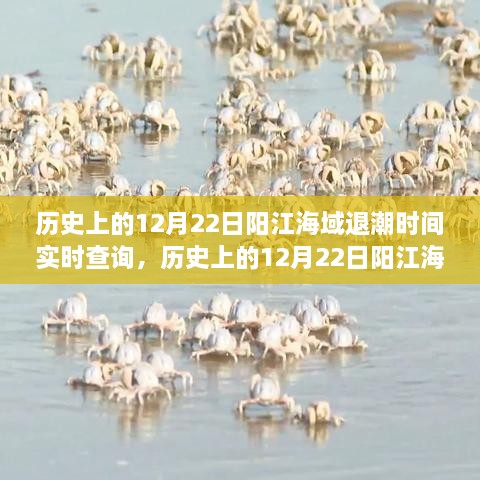 历史上的阳江海域潮汐揭秘，探寻潮汐探秘与内心宁静的自然奇遇（阳江海域潮汐实时查询）