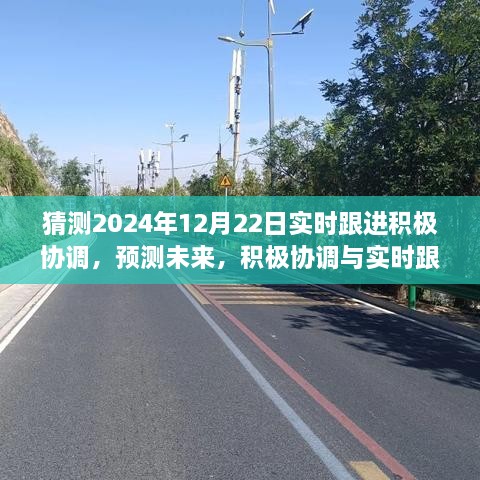 2024年12月22日趋势预测与协调跟进，实时分析与发展展望