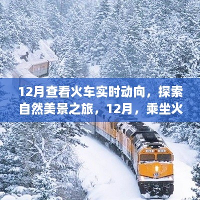 12月乘火车探秘之旅，追寻内心宁静与奇迹的自然美景探索之旅