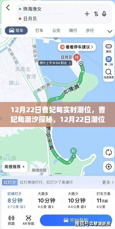 揭秘曹妃甸潮汐奥秘，12月22日潮位实况解析