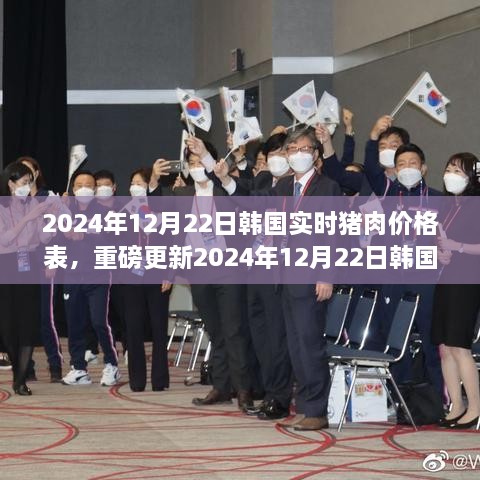 2024年12月22日韩国猪肉价格表全解析，洞悉市场动向，小红书实时更新