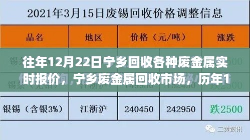 历年12月22日宁乡废金属回收市场报价回顾与实时动态分析