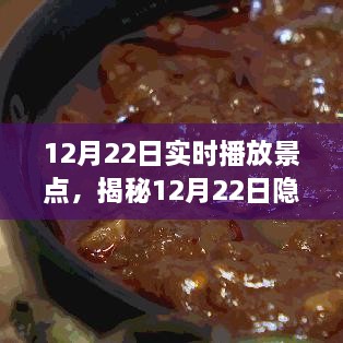 揭秘宝藏小店，12月22日隐藏小巷的独特魅力与实时景点游玩指南