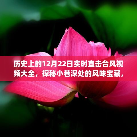 历史上的12月22日，台风直击与小巷风味宝藏大揭秘