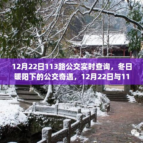 冬日暖阳下的温馨之旅，12月22日113路公交实时查询与奇遇