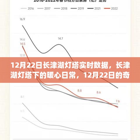 长津湖灯塔下的暖心日常与奇遇，12月22日的实时数据报告