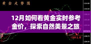 12月黄金闪耀与心灵之旅，实时金价与自然美景探索