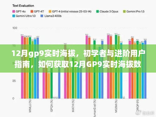 12月GP9实时海拔数据获取指南，初学者与进阶用户必备指南