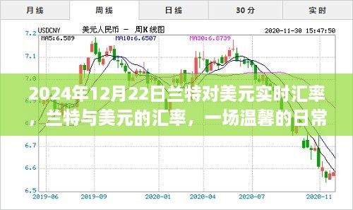 兰特与美元汇率，一场温馨的日常冒险之旅（实时更新至2024年12月22日）