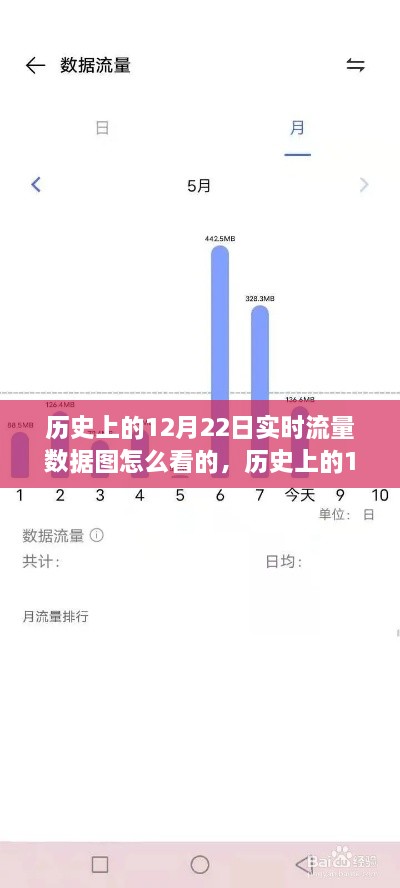 解读历史上的12月22日实时流量数据图的指南