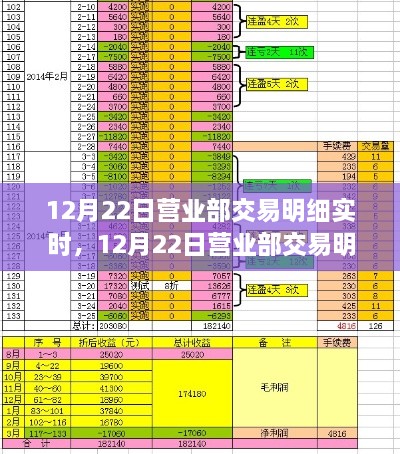 12月22日营业部交易明细实时掌控，科技新纪元交易体验的革命性变革