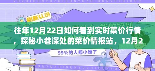 探秘菜价行情站，新鲜菜价实时追踪之旅，12月22日深度体验分享