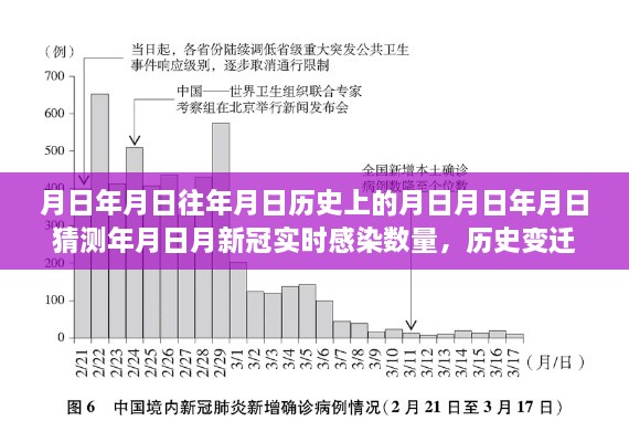 历史变迁下的积极力量，共克时艰，见证新冠感染数量变迁与自信成就之旅