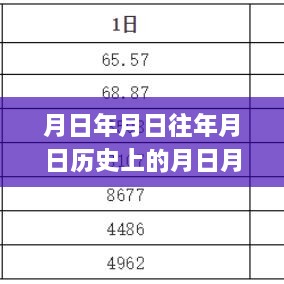 全面解读原油期货实时行情，深度分析与用户体验评测