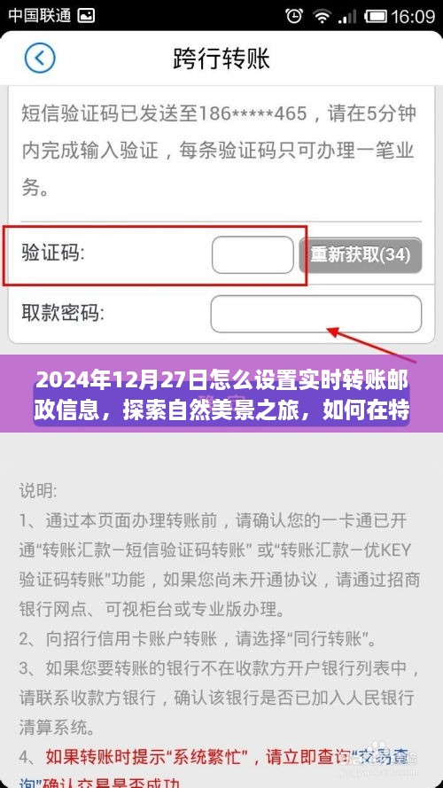 建议，邮政实时转账指南与探索自然美景之旅，特殊日子下的心灵宁静之旅