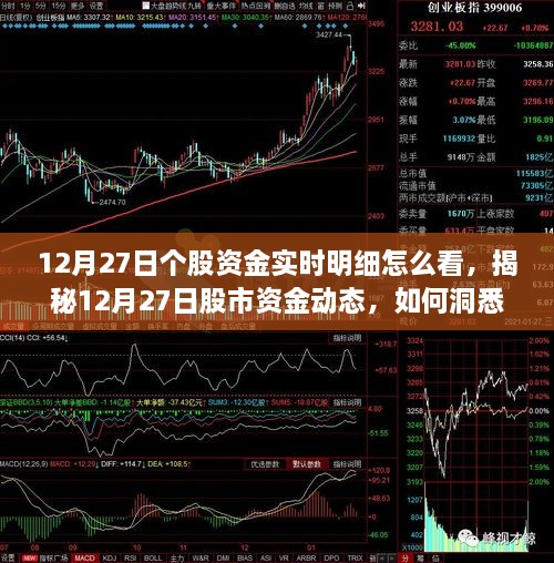 揭秘12月27日股市资金动态，洞悉个股资金实时明细的全面指南