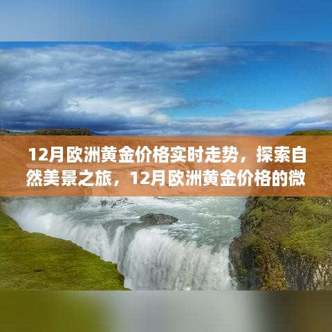 12月欧洲黄金价格走势与心灵自然之旅的双重探索