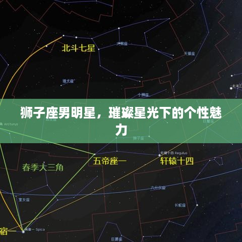 狮子座男明星，璀璨星光下的个性魅力