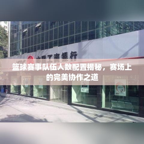 篮球赛事队伍人数配置揭秘，赛场上的完美协作之道