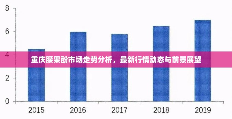 重庆腰果酚市场走势分析，最新行情动态与前景展望