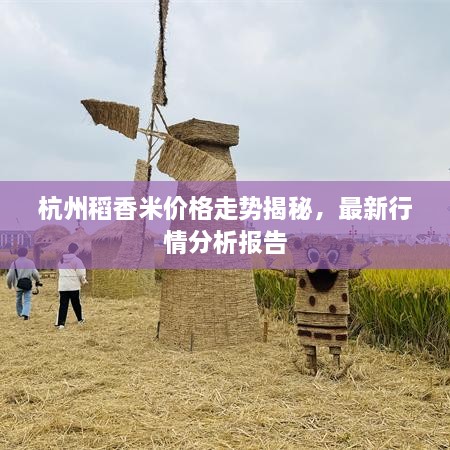 杭州稻香米价格走势揭秘，最新行情分析报告