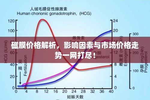 磁膜价格解析，影响因素与市场价格走势一网打尽！