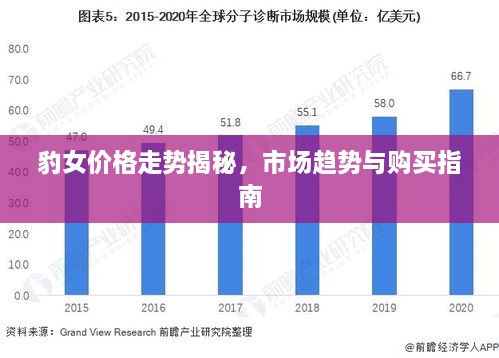 2024年12月31日 第7页