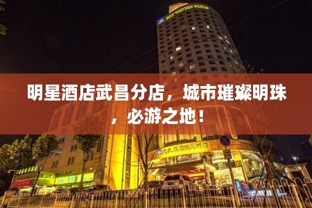 明星酒店武昌分店，城市璀璨明珠，必游之地！