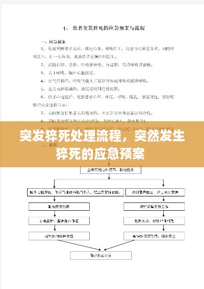 突发猝死处理流程，突然发生猝死的应急预案 