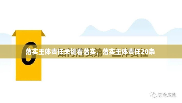 落实主体责任关键看落实，落实主体责任20条 