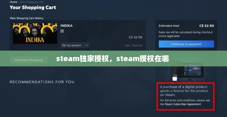 steam独家授权，steam授权在哪 