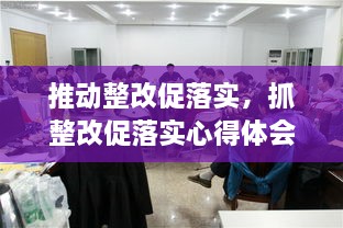 推动整改促落实，抓整改促落实心得体会 