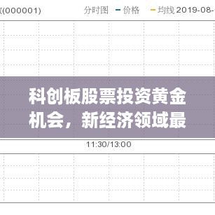 科创板股票投资黄金机会，新经济领域最有价值之选