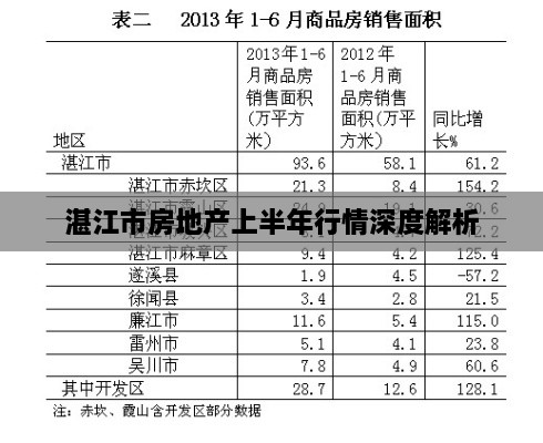 湛江市房地产上半年行情深度解析