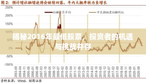 揭秘2016年最低股票，投资者的机遇与挑战并存