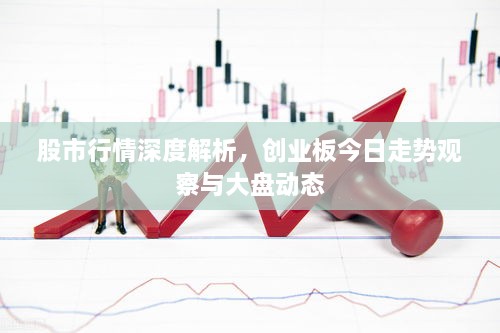 股市行情深度解析，创业板今日走势观察与大盘动态