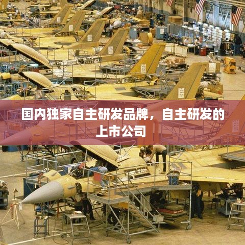 国内独家自主研发品牌，自主研发的上市公司 